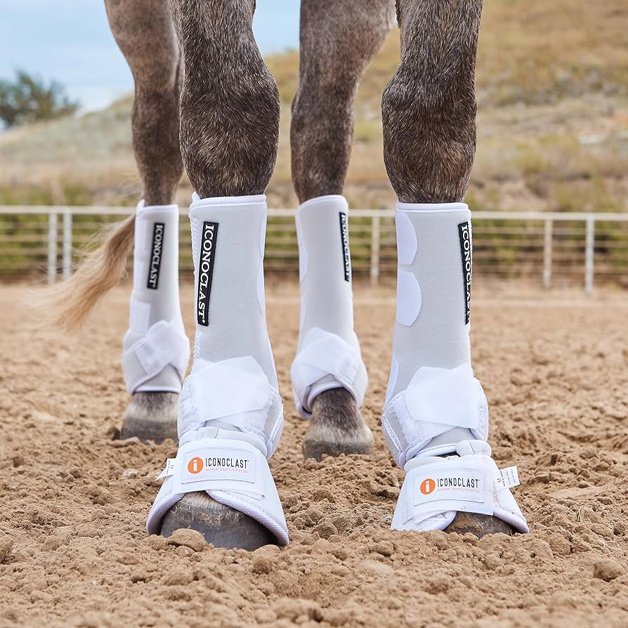 Iconoclast Orthopedic Boots - Hind