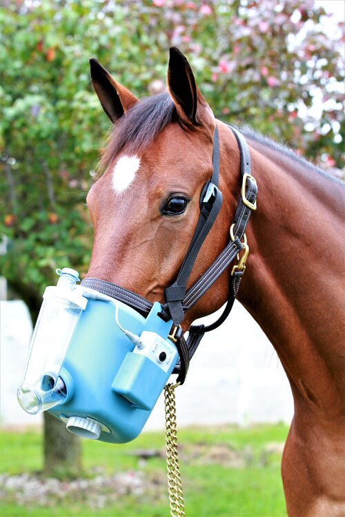 Flexineb E3 Portable Equine Nebulizer Complete System