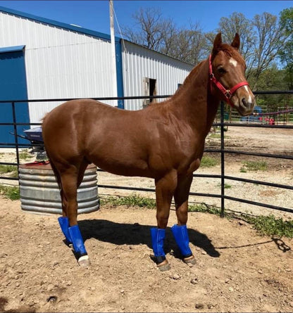 Fly Free Boots - Pony/Weanling Size