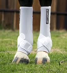 Iconoclast Orthopedic Boots - Hind Tall