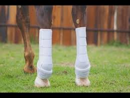 Iconoclast Orthopedic Boots - Hind Tall