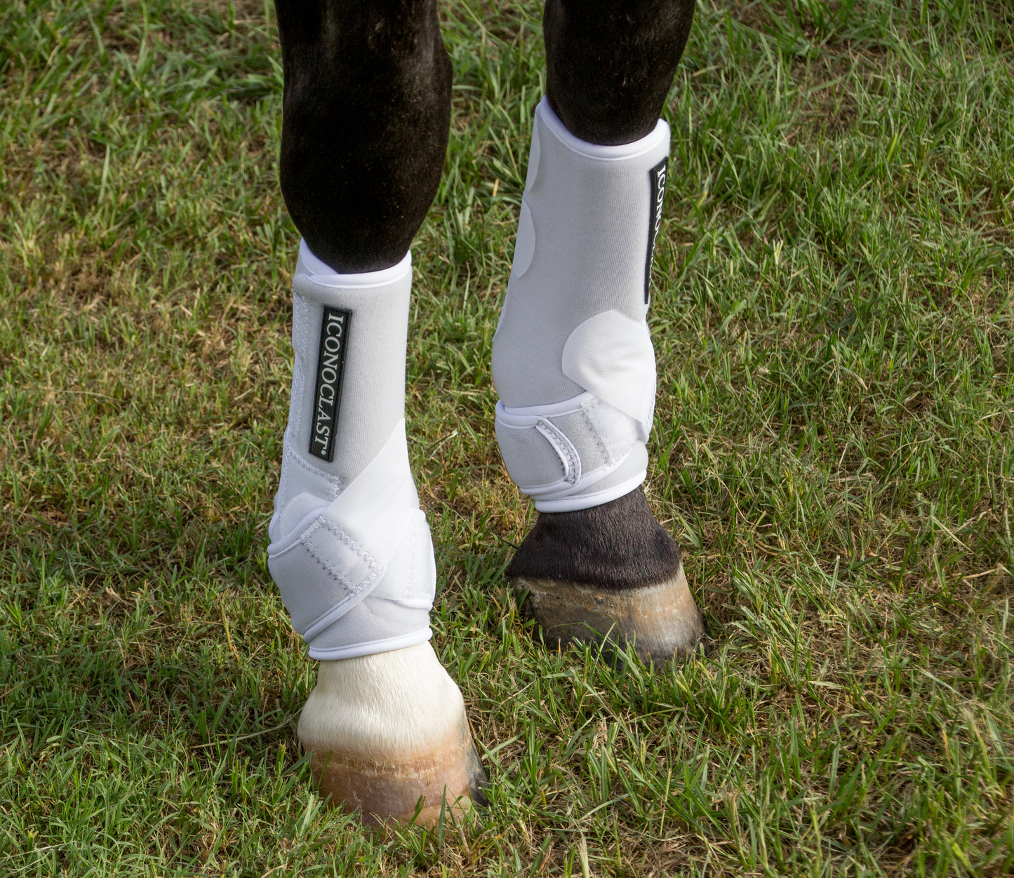 Iconoclast Orthopedic Boots - Hind