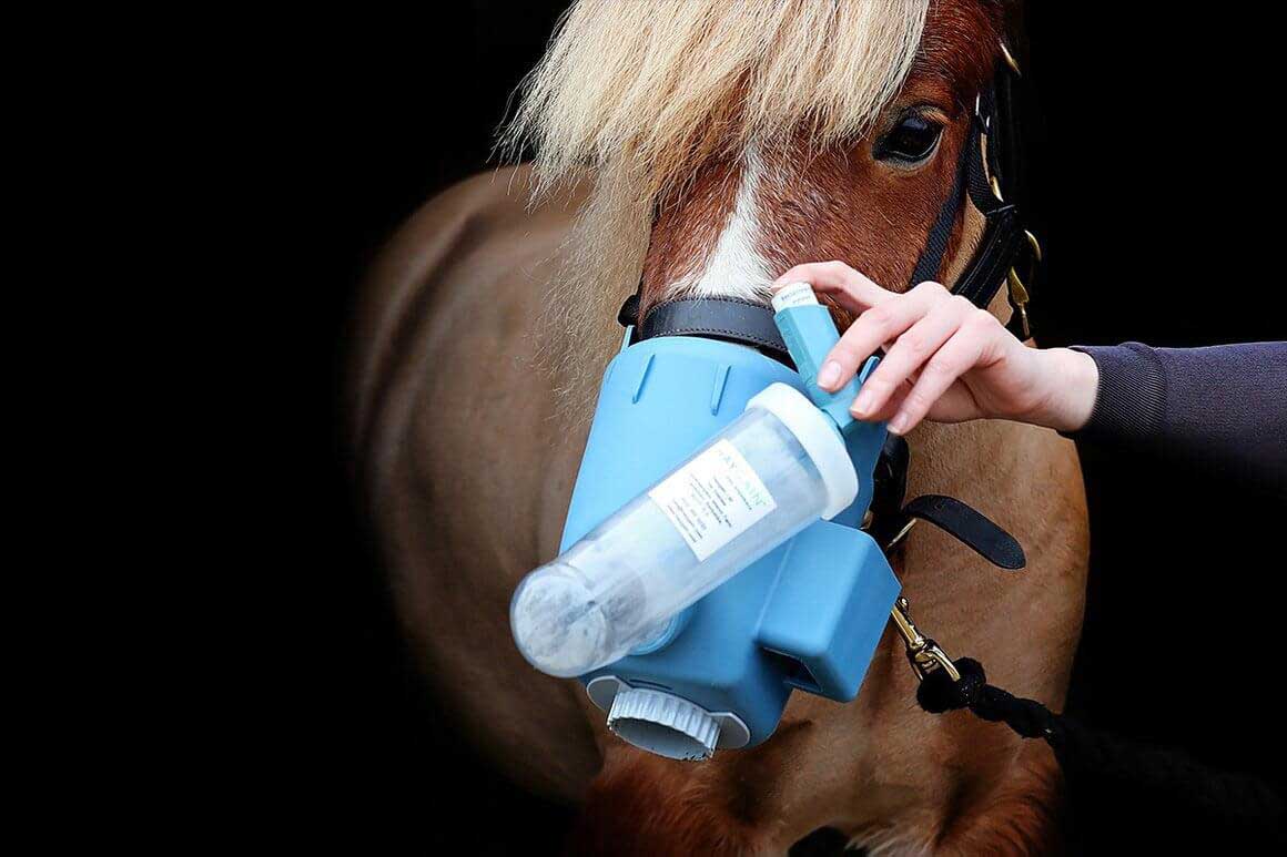 Flexineb E3 Portable Equine Nebulizer Complete System