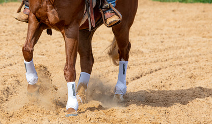 Iconoclast Orthopedic Boots - Hind