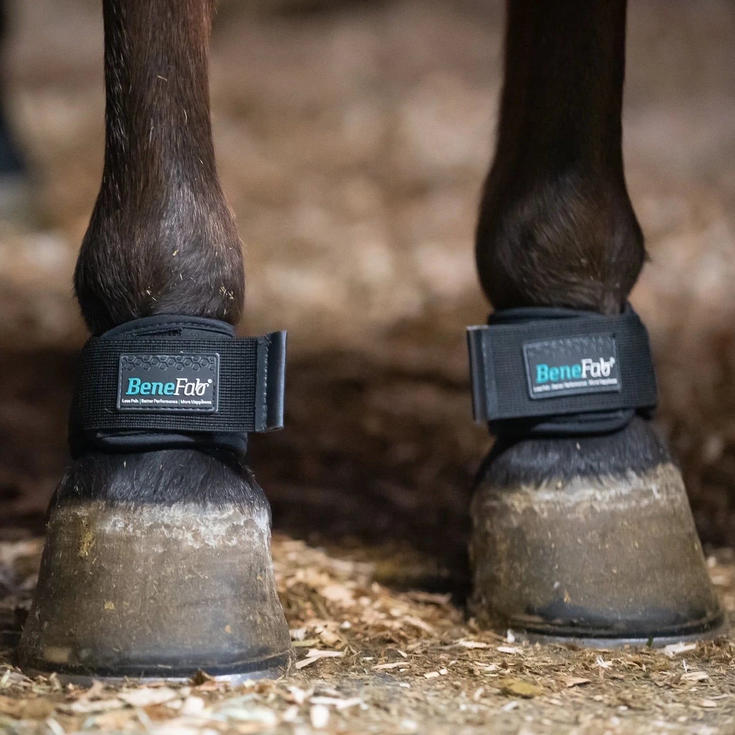 Benefab Pastern Wraps